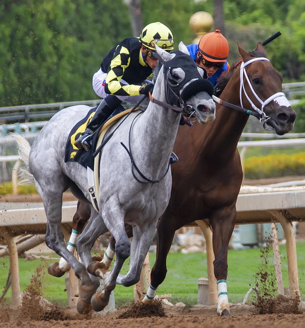 巴塞罗那在 巴塞罗那在