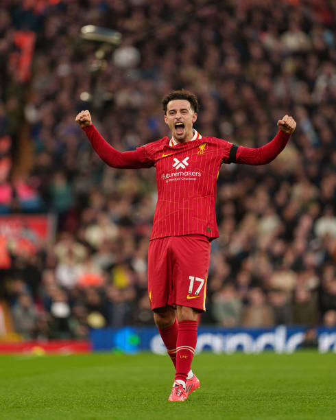 罗那的决战 罗那的决战